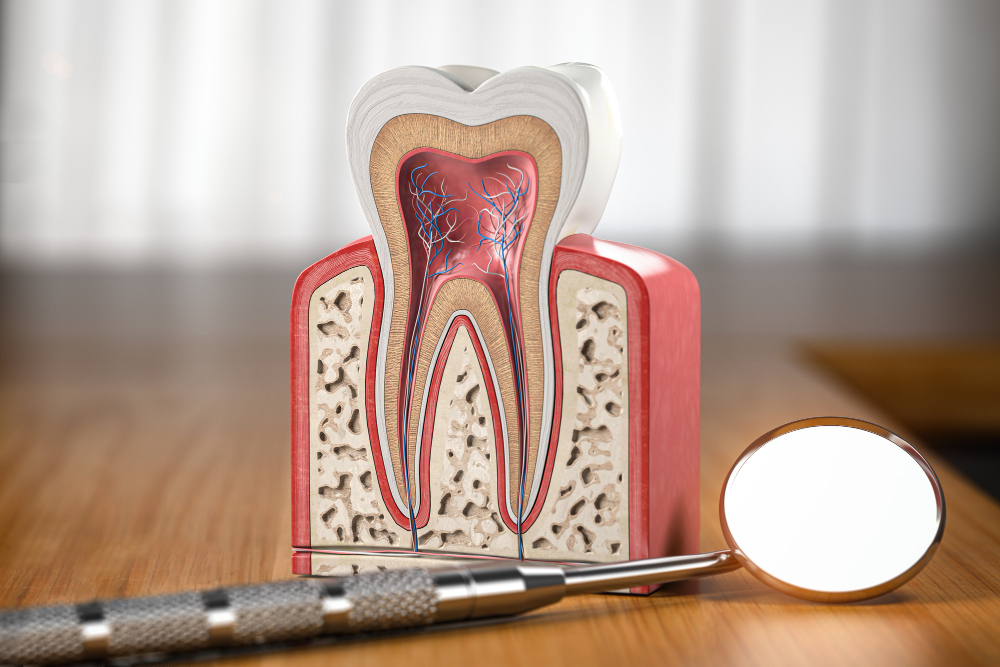 Root Canals Harbor City, CA